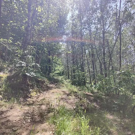 Maly Domeczek Villa Sulęczyno Eksteriør bilde